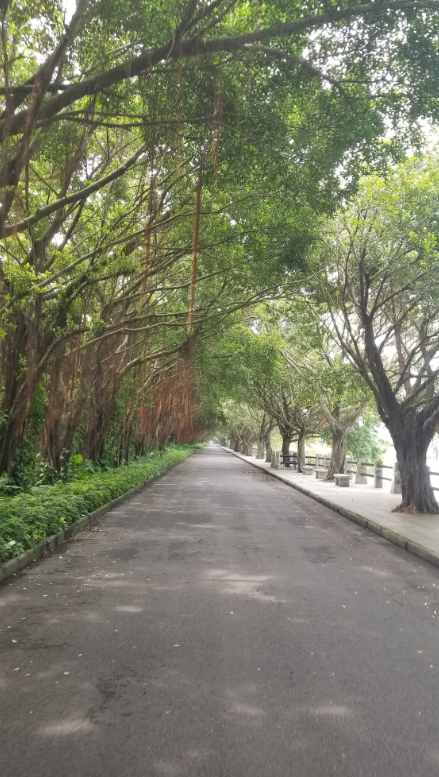 微信截图_20190130104853.png