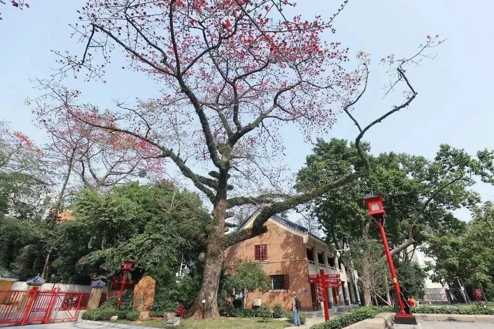 图片2.jpg